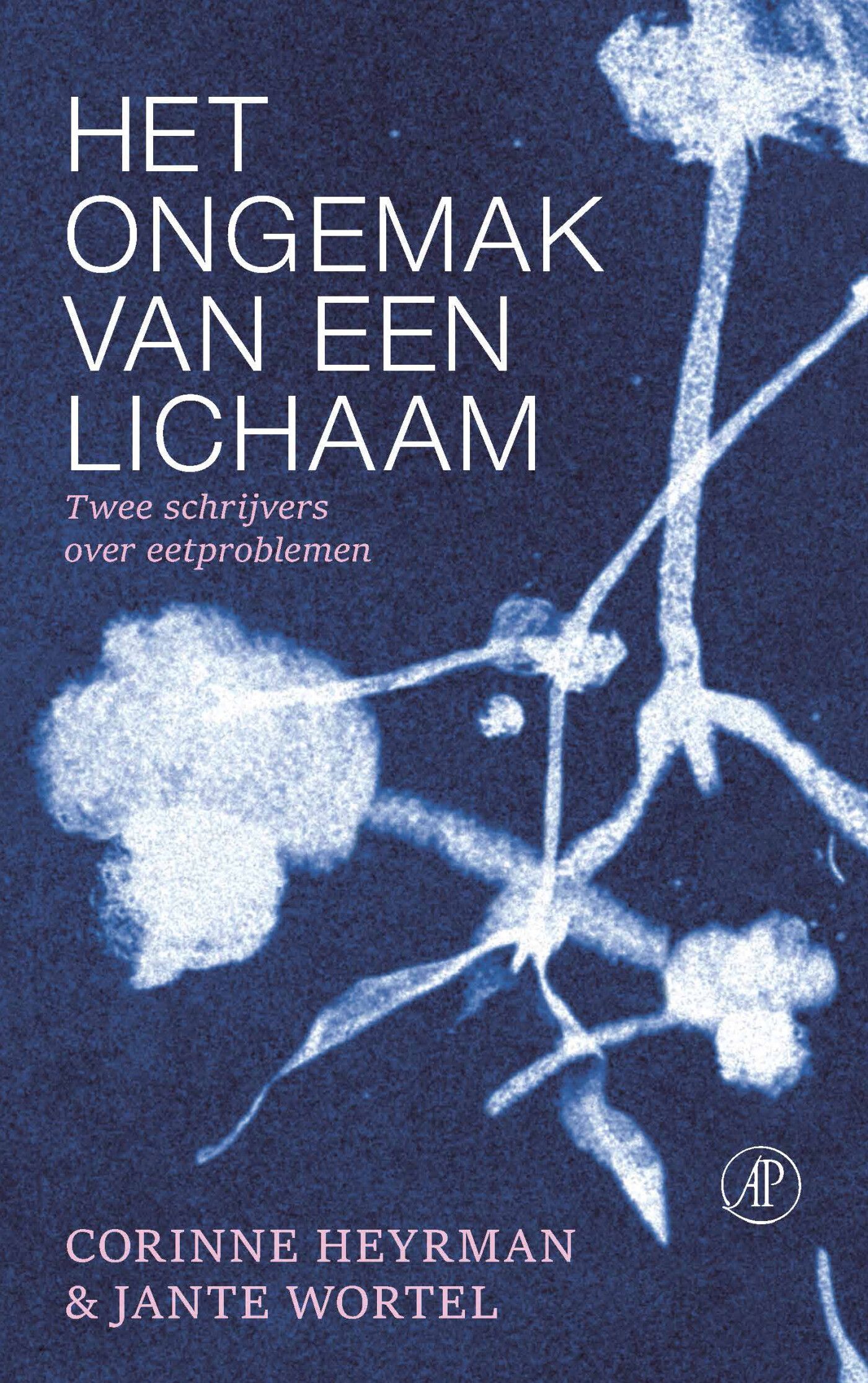 Het ongemak van een lichaam