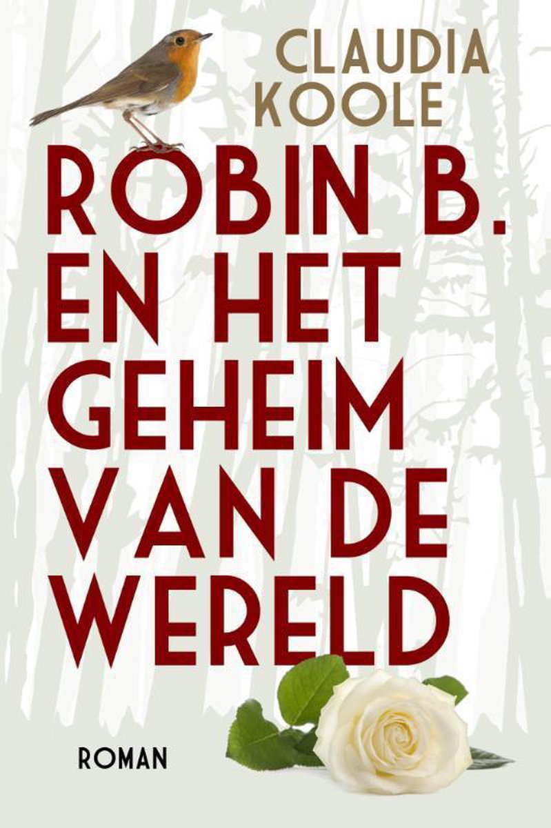 Robin B. en het geheim van de wereld