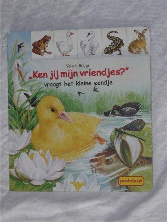 "Ken jij mijn vriendjes?" vraagt het kleine eendje