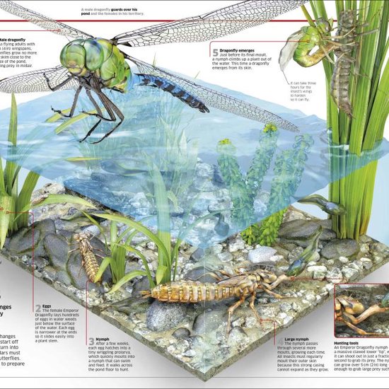 Knowledge Encyclopedia Science!