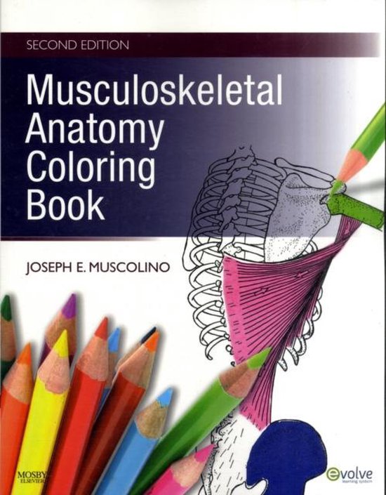 Musculoskeletal Anatomy Coloring Book