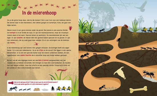 Speuren onder de grond + kartonnen zaklamp