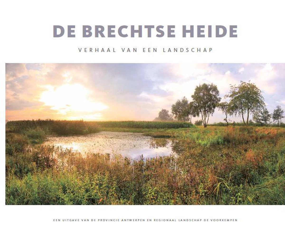 De brechtse heide