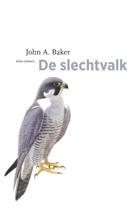 De slechtvalk / De vogelserie / 3