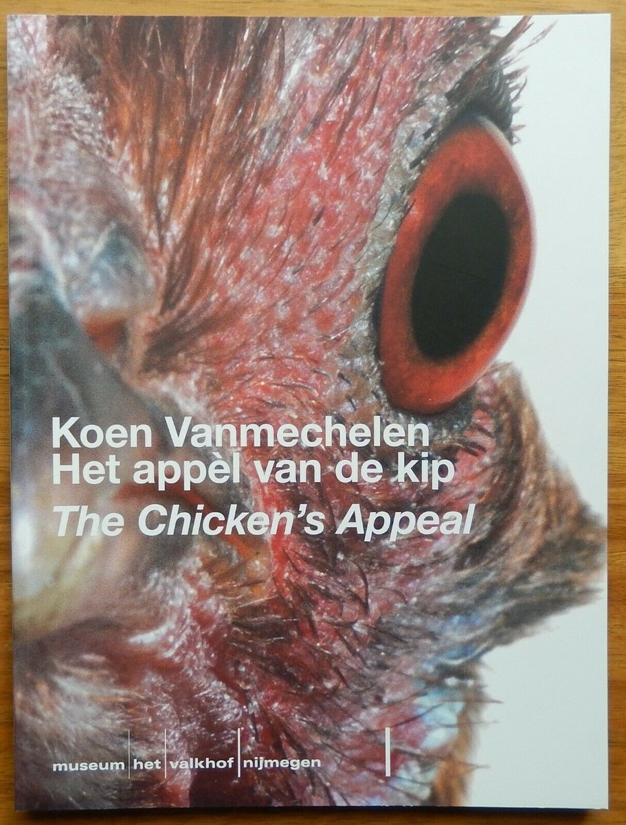 Koen Vanmechelen