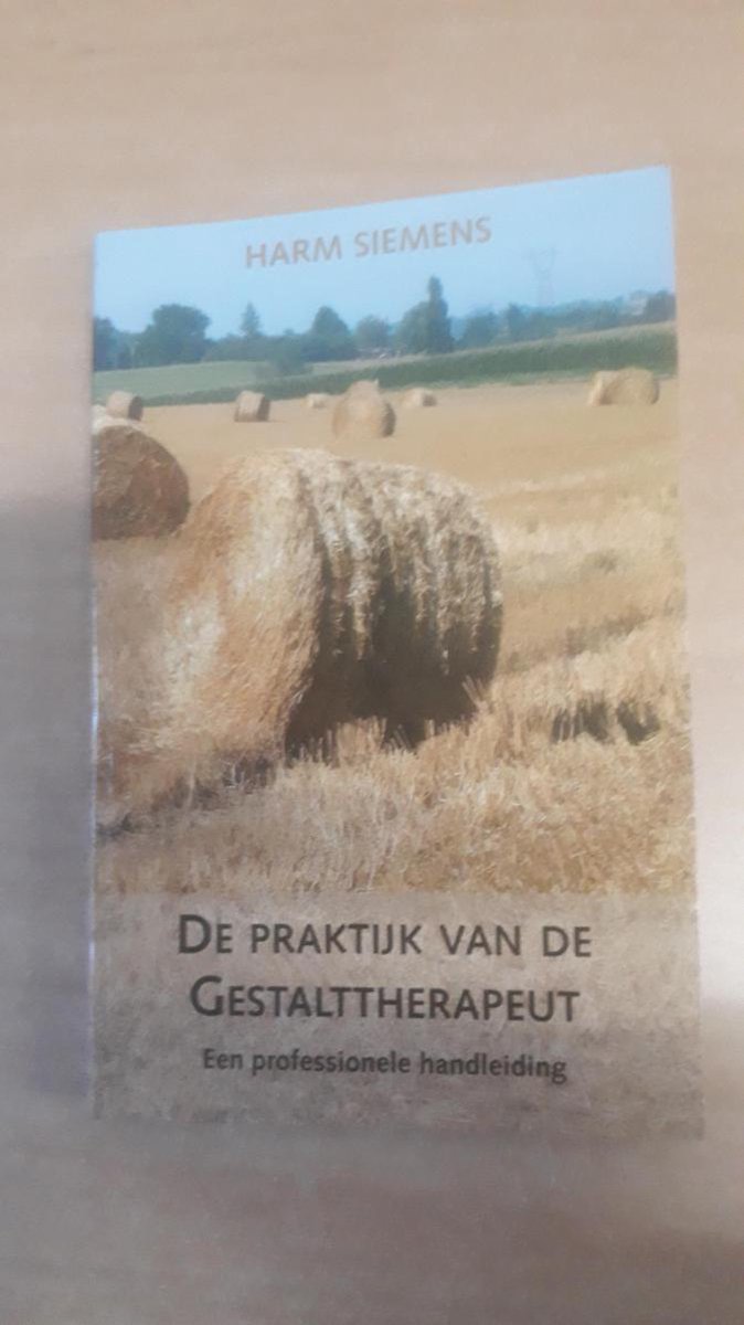 De praktijk van de Gestalttherapeut