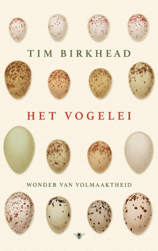 Het vogelei