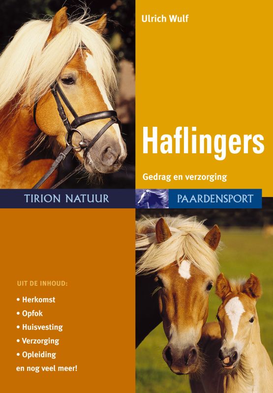 Haflingers / Paardensport