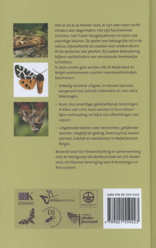 Nachtvlinders achterkant