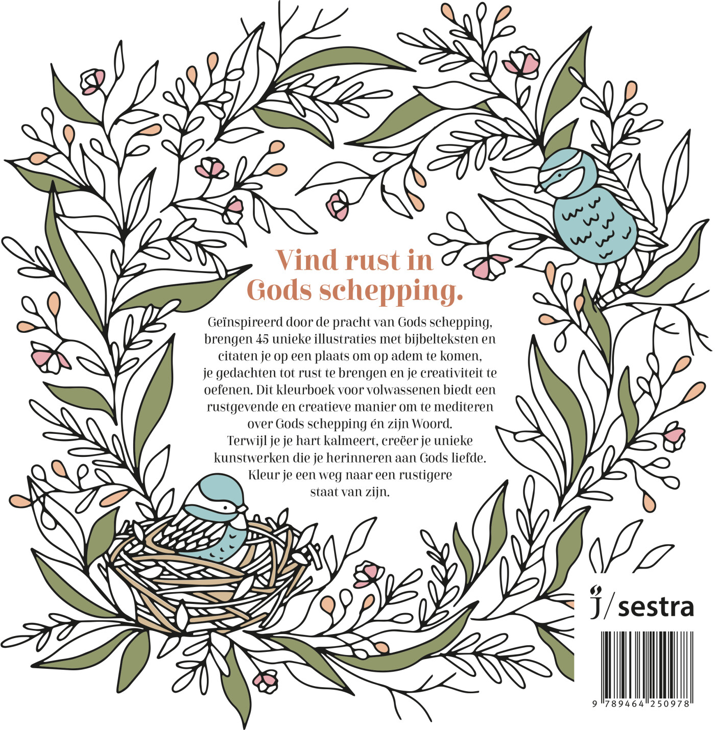 De zon komt op achterkant