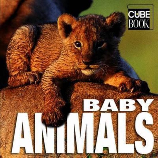 Baby Animals