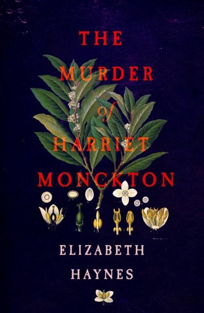 Elizabeth Haynes The Murder Of Harriet Monckton