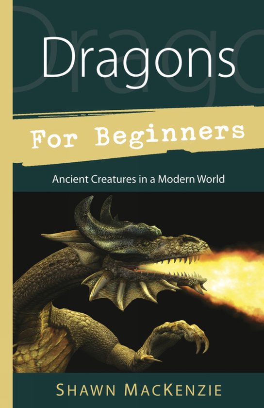Shawn Mackenzie Dragons For Beginners thumbnail