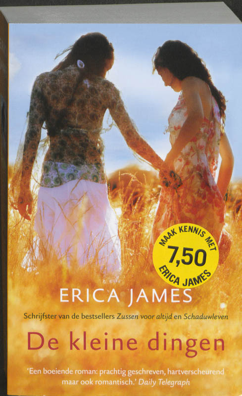 Erica James De Kleine Dingen thumbnail