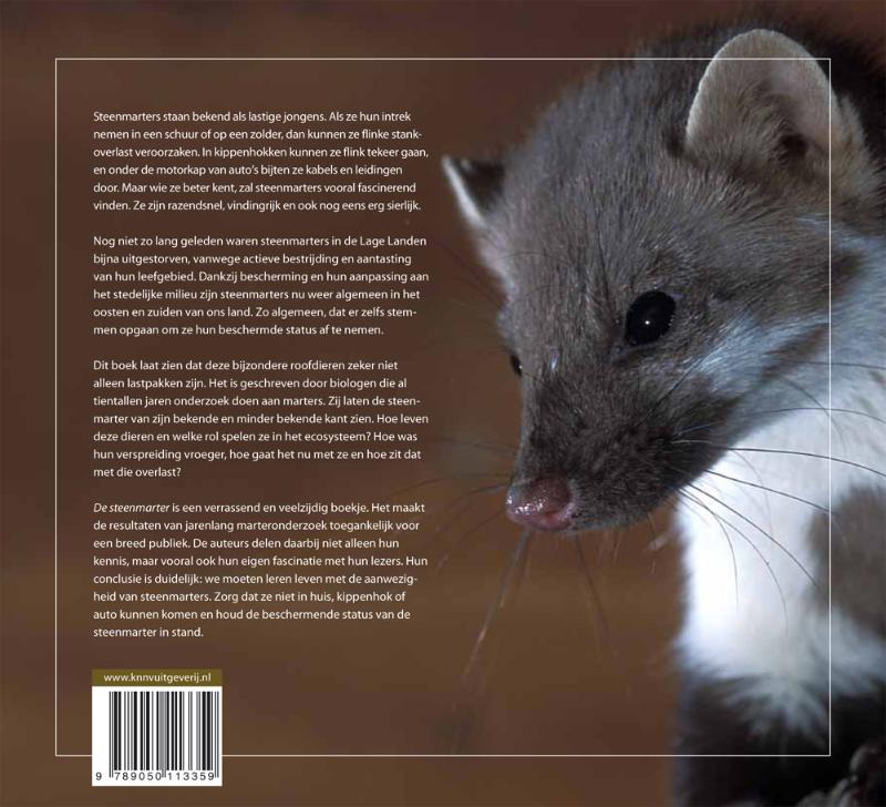 De steenmarter achterkant
