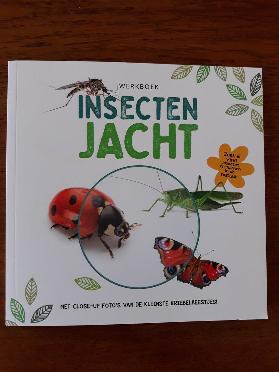 R&B Werkboek Insecten Jacht thumbnail