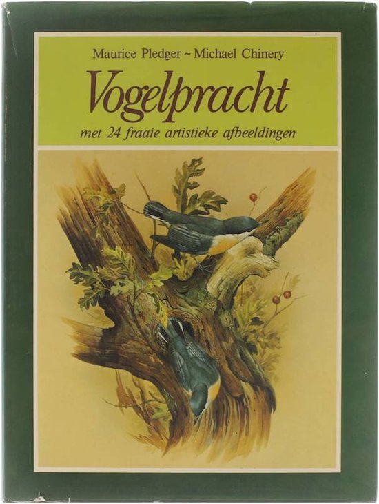 Vogelpracht