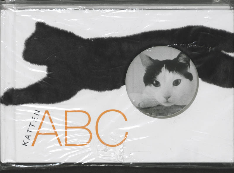 L. Kienzle Katten Abc thumbnail
