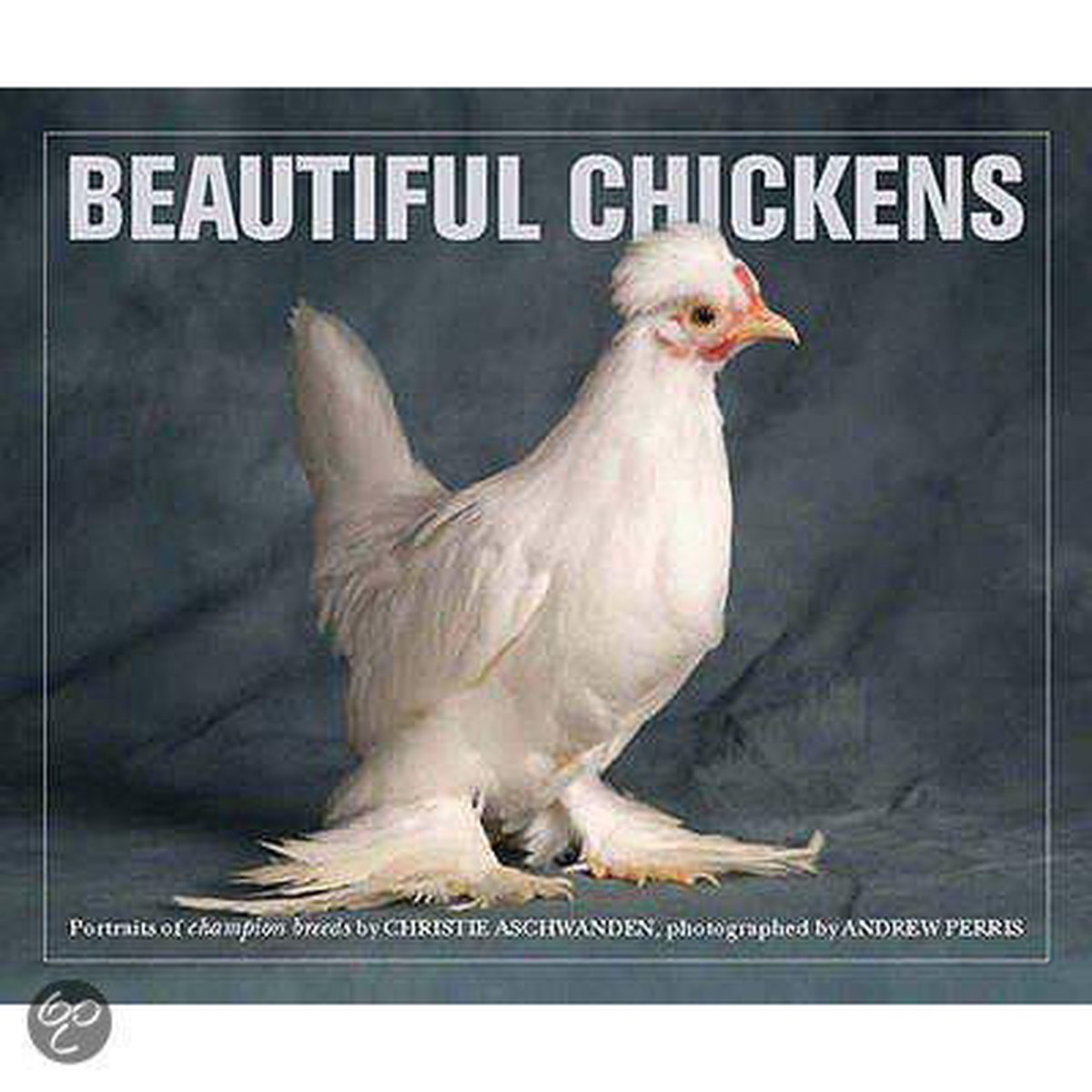 Beautiful Chickens