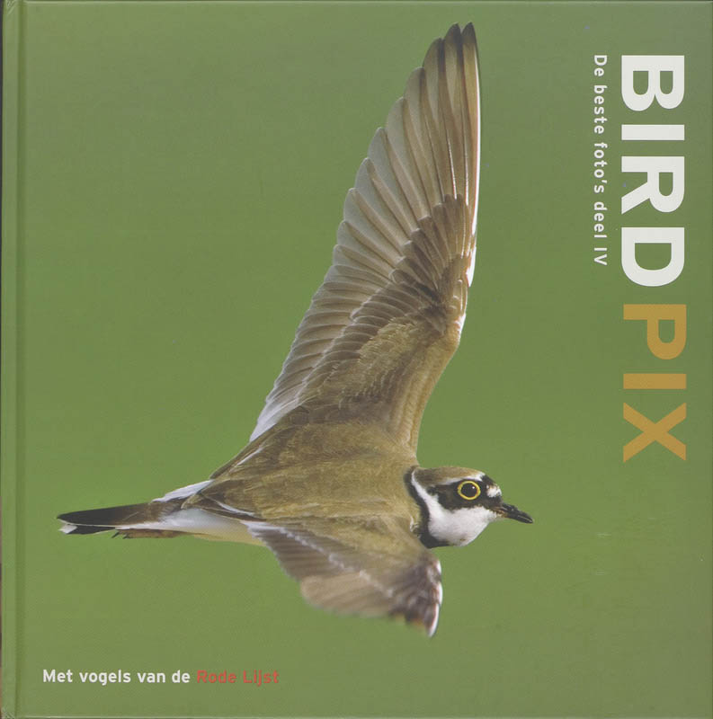 Birdpix / IV / Birdpix / 4