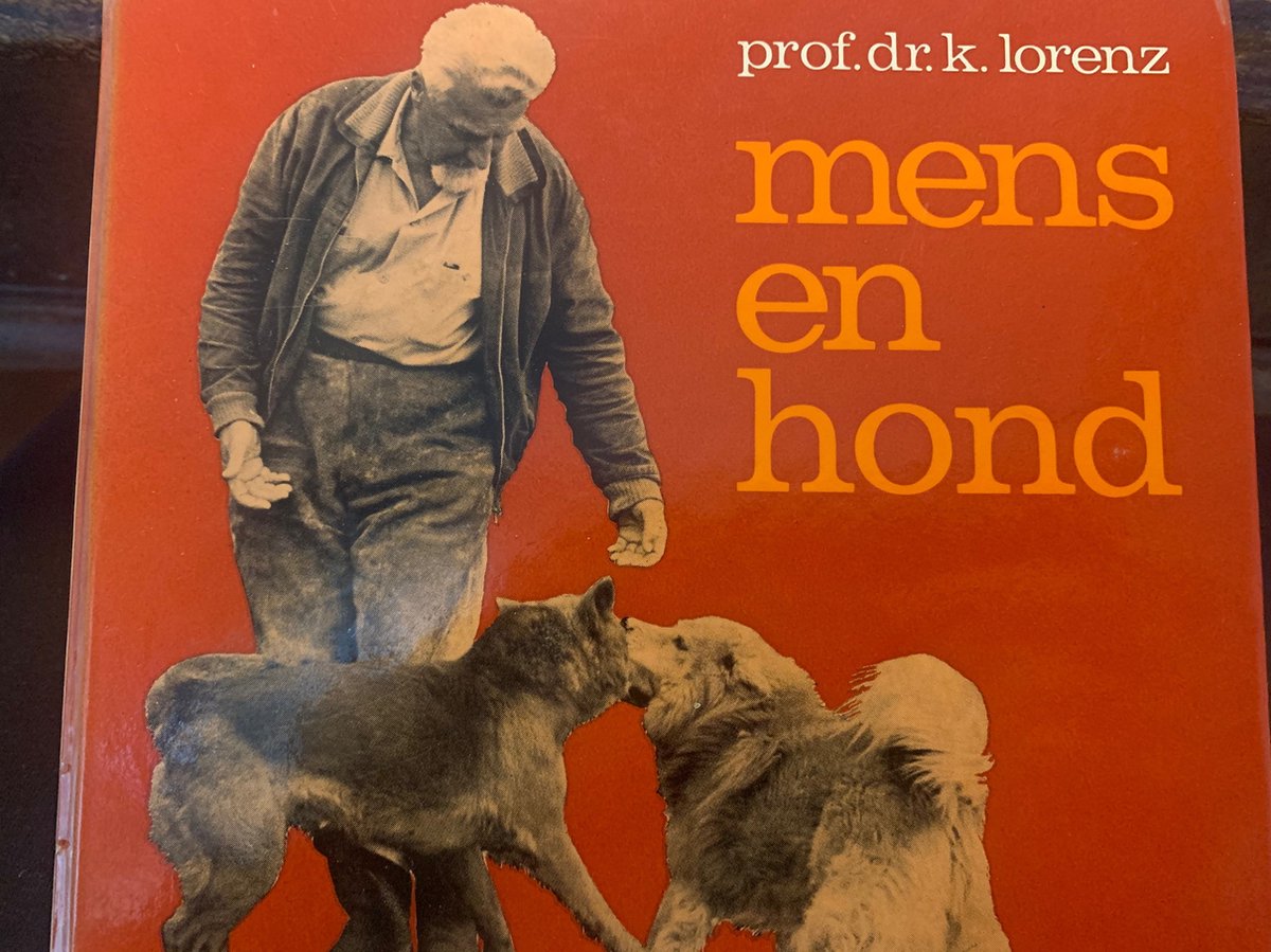 Mens en hond