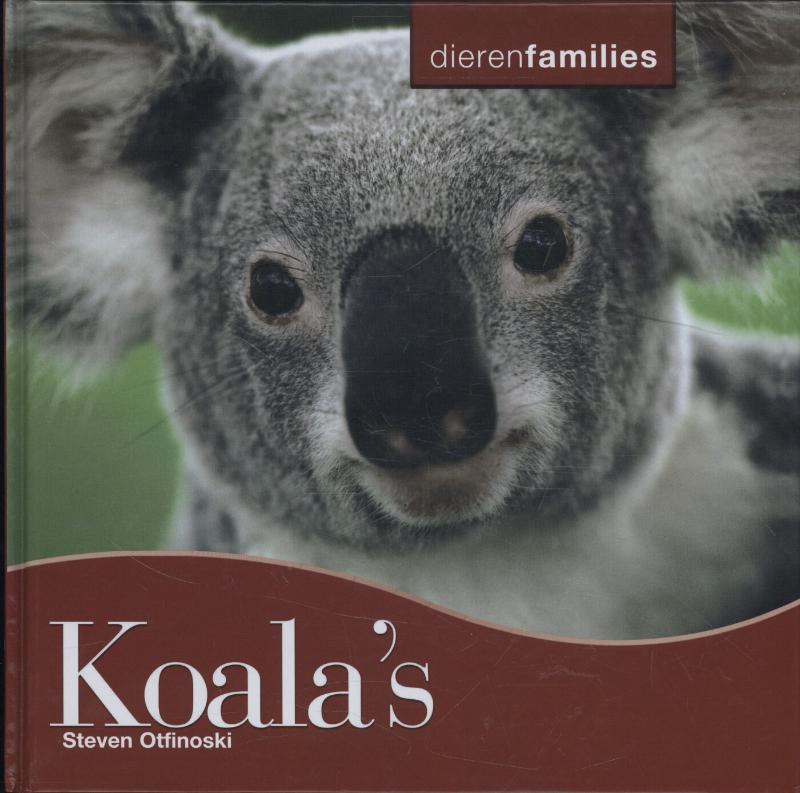 Dierenfamilies  -   Koala's