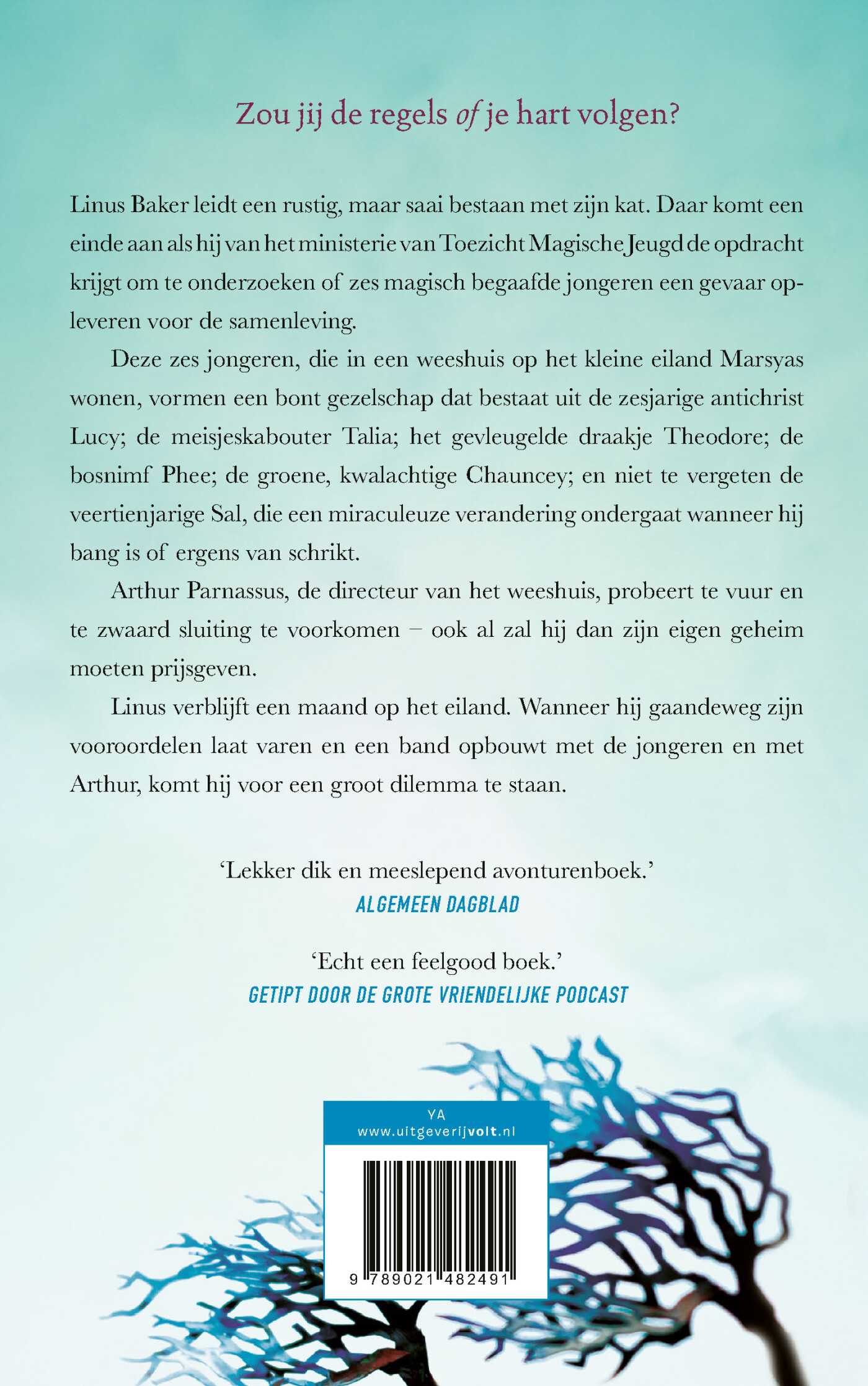 Het weeshuis in de azuurblauwe zee / Azuurblauwe zee / 1 achterkant