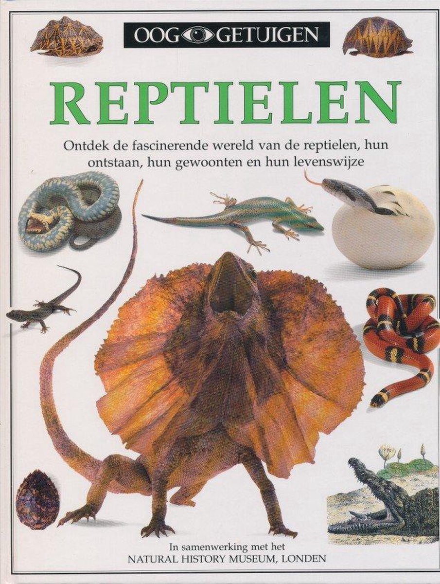 boekenbalie_9789002190568_cover Reptielen / Ooggetuigen