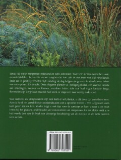 Siergrassen achterkant