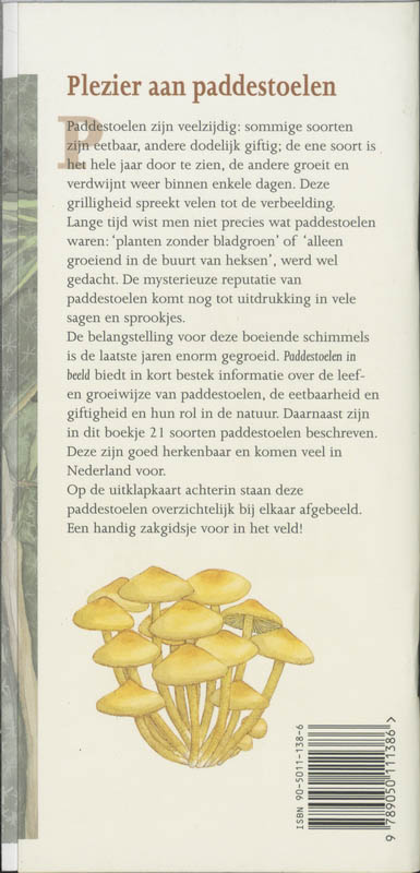 In beeld 3 - Paddestoelen in beeld achterkant