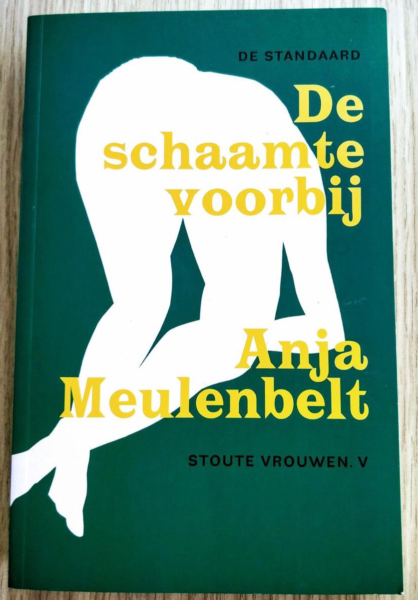 boekenbalie_9789086910380_cover De schaamte voorbij / Stoute vrouwen / 5