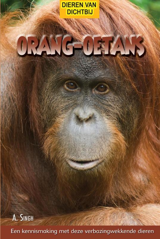 Orang oetans / Dieren van dichtbij