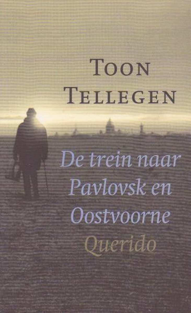 Trein Naar Pavlovsk En Oostvoorne