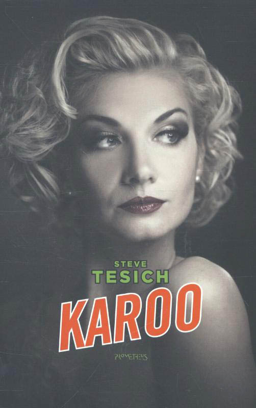 Steve Tesich Karoo thumbnail