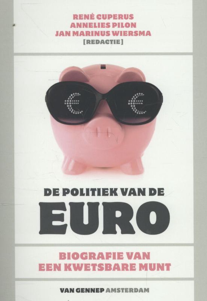 De politiek van de euro