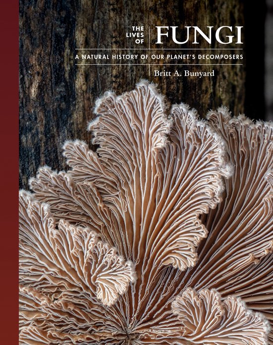 The Lives of the Natural World-The Lives of Fungi