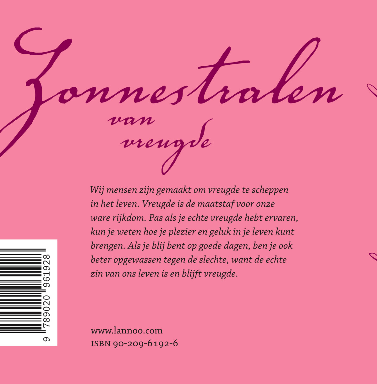 Zonnestralen van vreugde achterkant