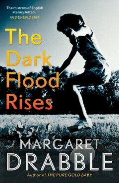 Dark Flood Rises