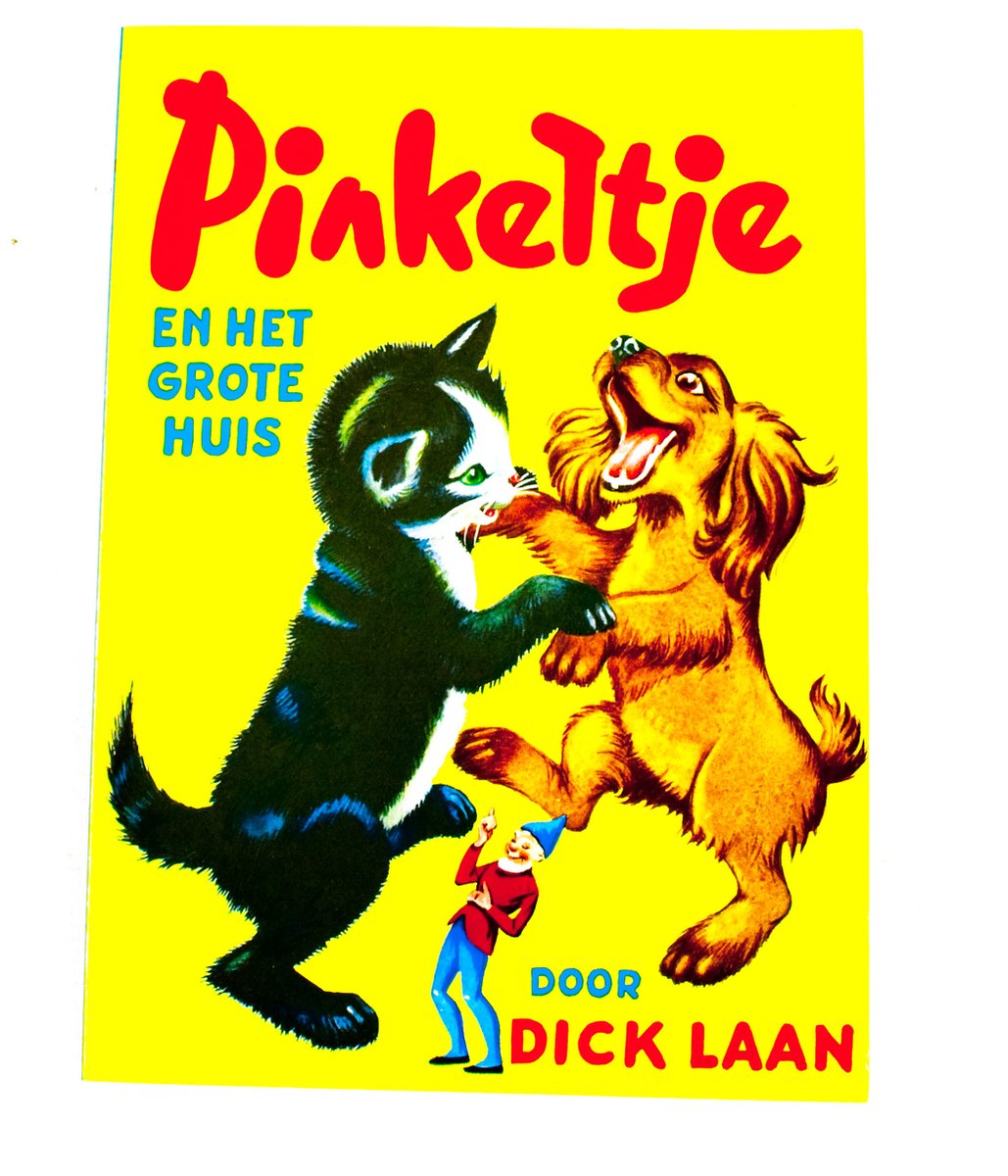 Laan Pinkeltje En Het Grote Huis thumbnail
