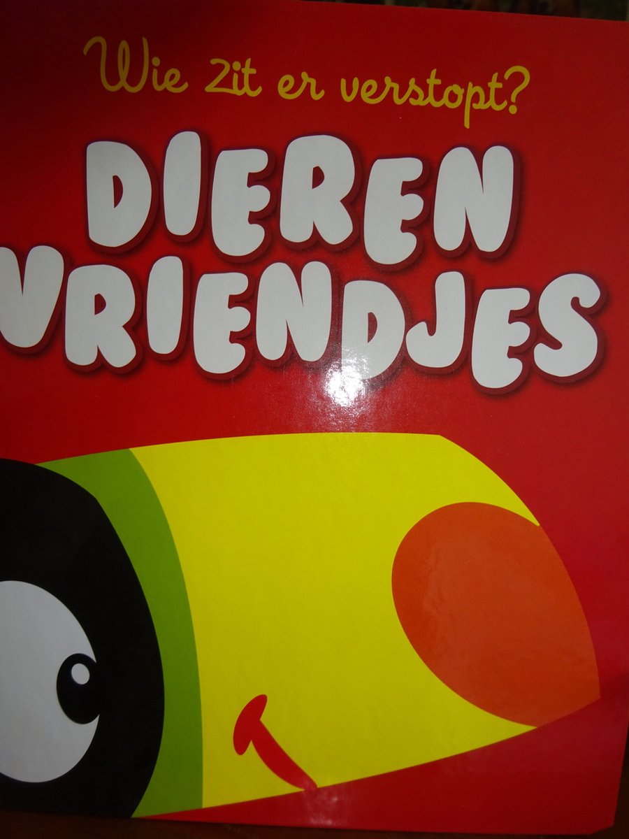 boekenbalie_9789462445154_cover Flaptastic 1