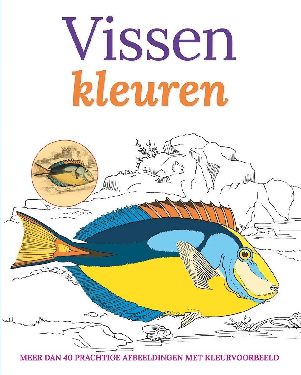 Vissen Kleuren Kleurboek