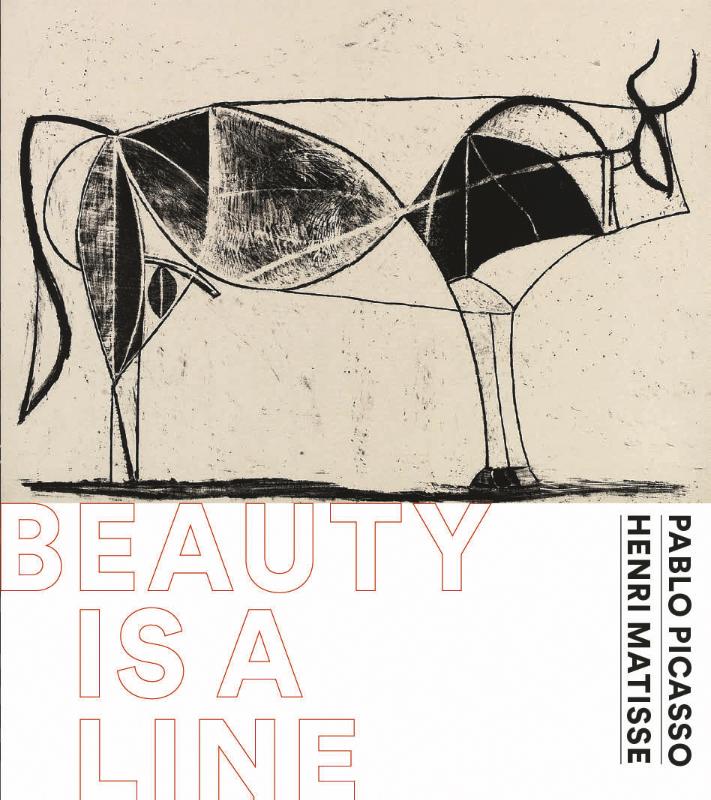 Beauty is a line
