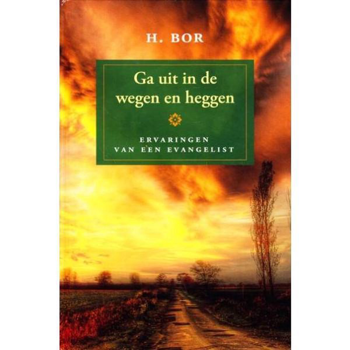 H. Bor Ga Uit In De Wegen En Heggen thumbnail