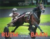 Ruim baan