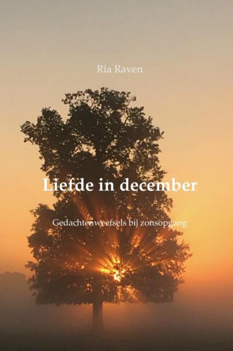 boekenbalie_9789463184427_cover Liefde in december
