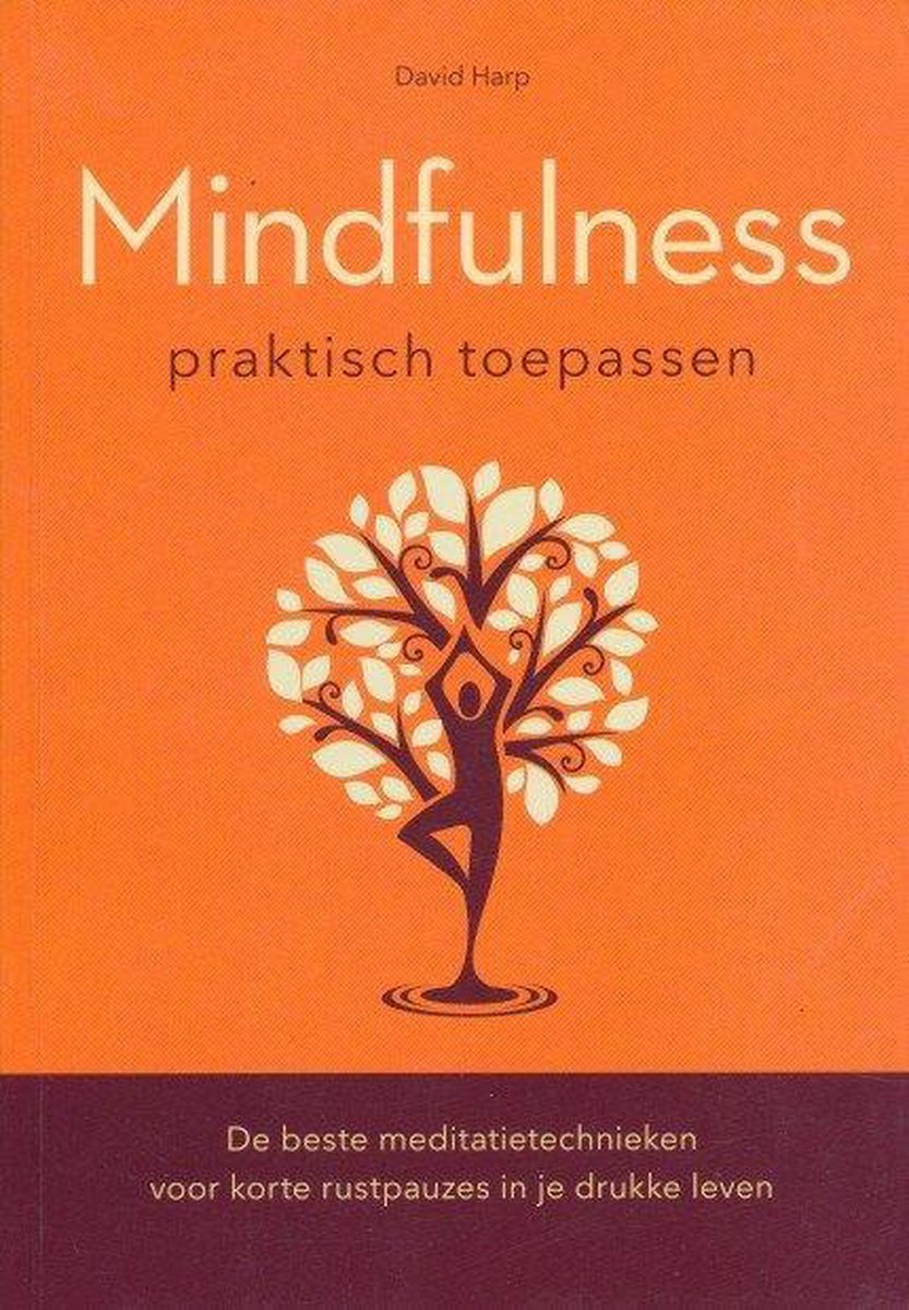 Mindfulness Praktisch Toepassen