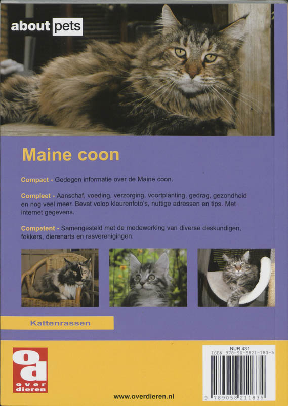 Maine Coon / Over Dieren / 177 achterkant