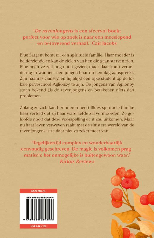 De ravenjongens / De ravenserie / 1 achterkant