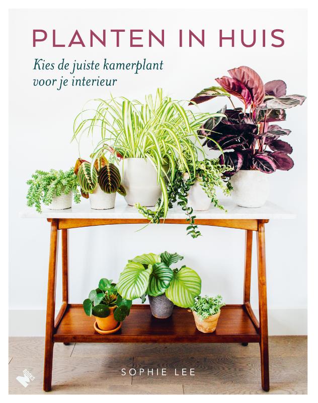 Sophie Lee Planten In Huis thumbnail