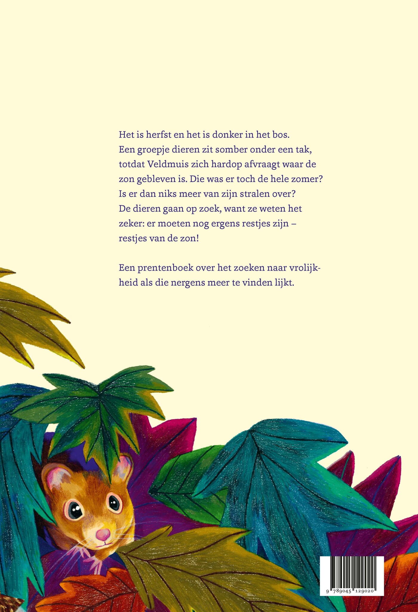De restjes van de zon achterkant